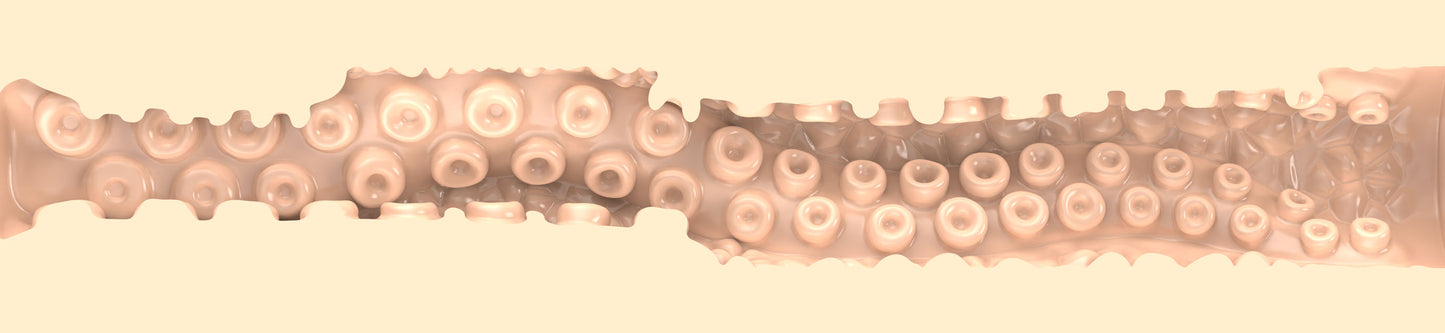 Sasha Nakamoto Textura Ecchi