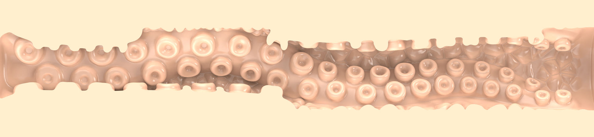 Sasha Nakamoto Textura Ecchi